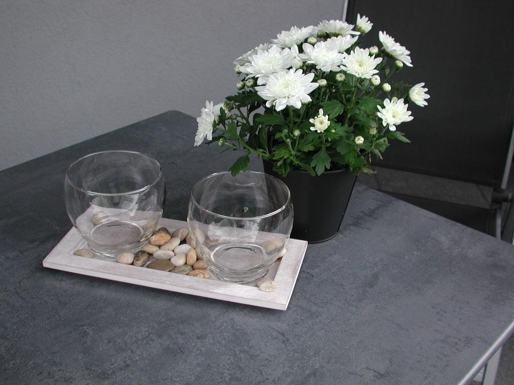 Ferienwohnung Pusteblume Cochem Cameră foto