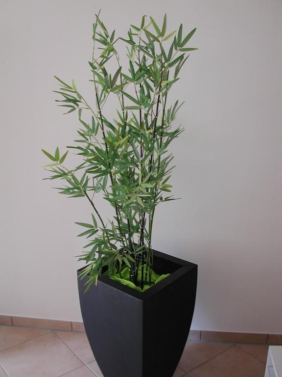 Ferienwohnung Pusteblume Cochem Cameră foto